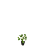 12526