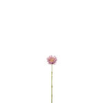 12426