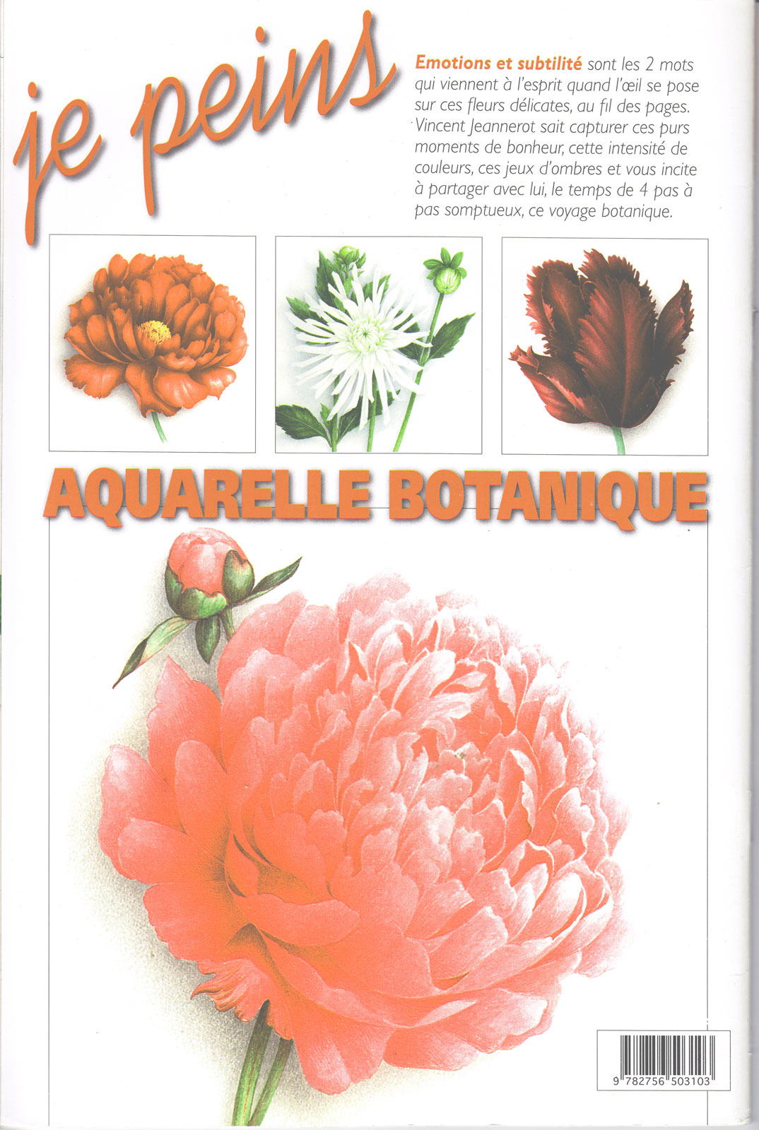 laquarelle-botanique_0001