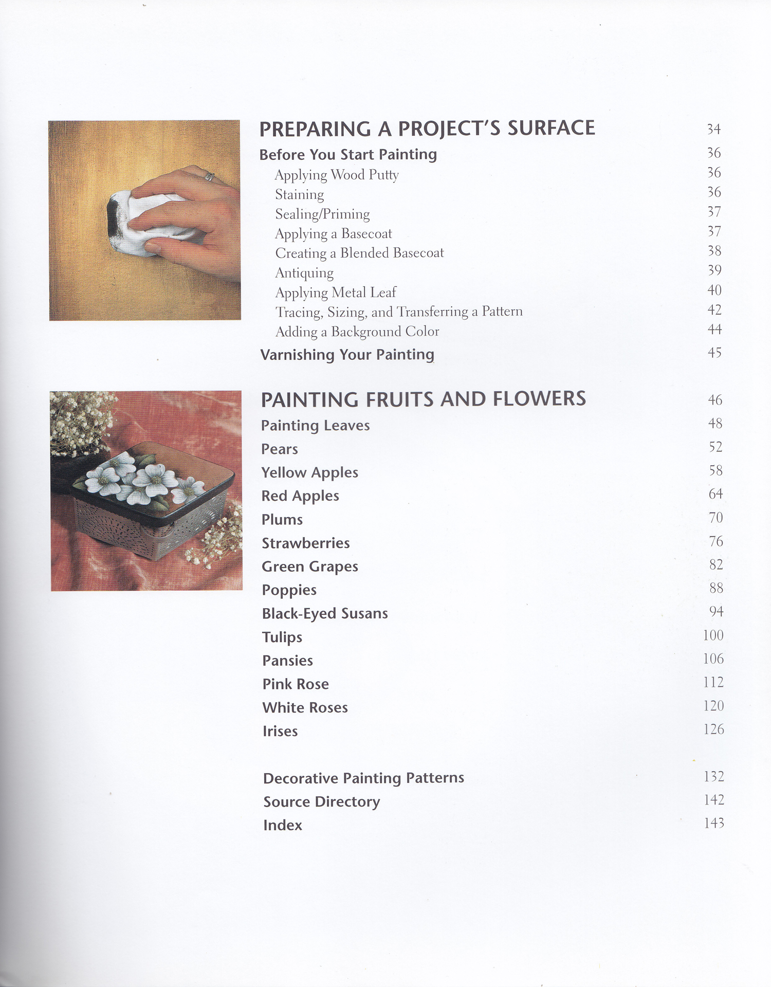 Decorative-Painters-Guide-to-Fruits-&amp;-Flowers4