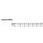 Raphaël-88026