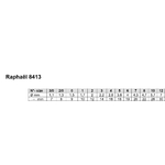 pinceau-martre-Raphaël-8413