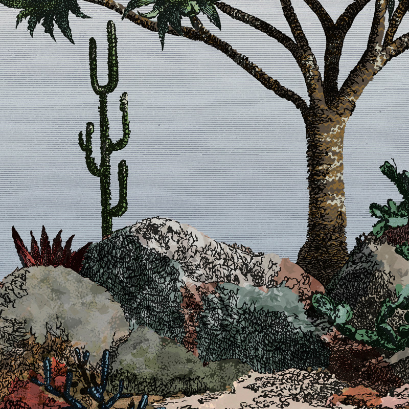 PAN210-nobilis-panoramique-cactus-papier-peint-vert-deco
