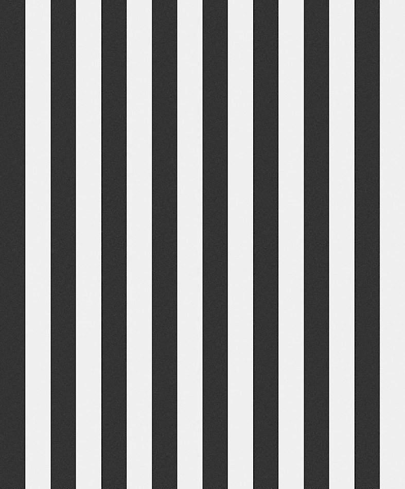 papier-peint-tendance-2023-rayure-cyprian-masureel-ivoire-noir-blanc-visuel