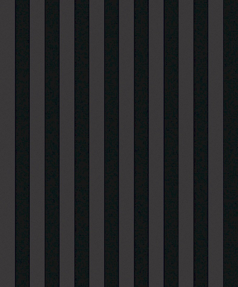 papier-peint-tendance-2023-rayure-cyprian-masureel-noir-visuel