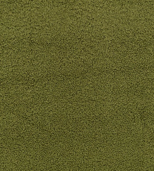 drake-zinc-colibri-fabric-z699-09--tissu-bouclette-siege-vert