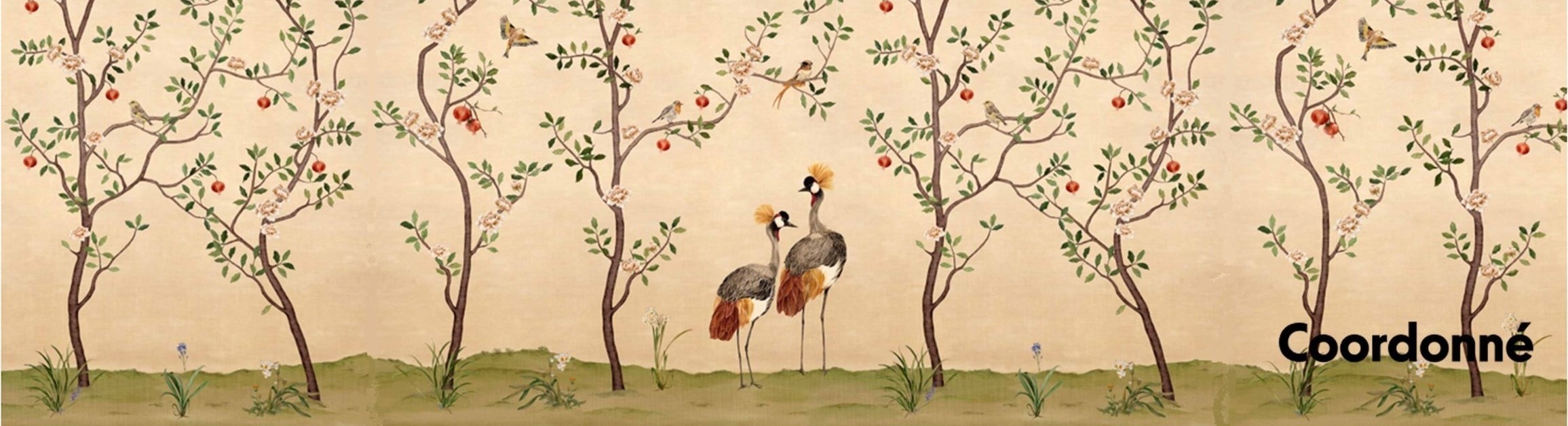 Papier peint panoramique Coordonné oiseaux