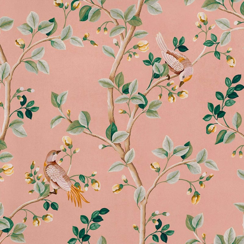 papier-peint-fleuri-birds-prosperity-coordonne-rose-decoration
