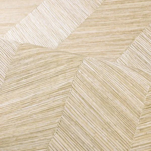 CASAMANCE Ocotea Coquille (2)