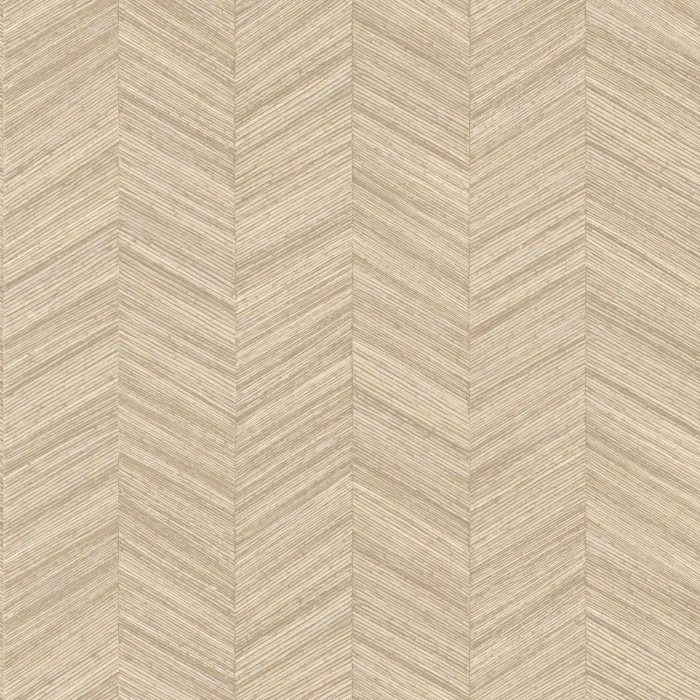 CASAMANCE Ocotea Coquille (3)