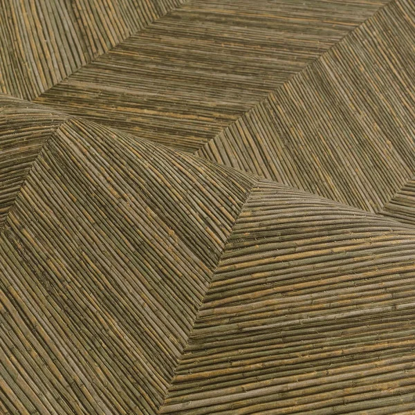 CASAMANCE Ocotea kaki