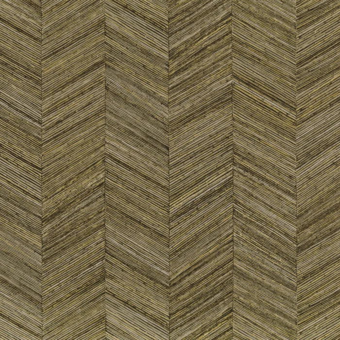 CASAMANCE Ocotea kaki