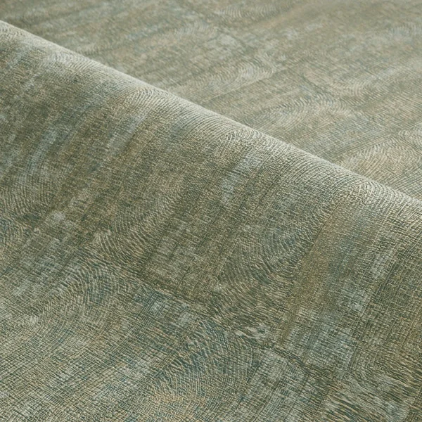 CASAMANCE bizen lichen (2)