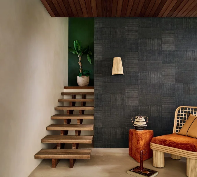 Casamance mestizo Noir