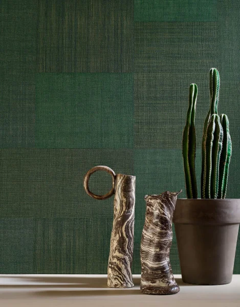 Casamance mestizo Vert foret