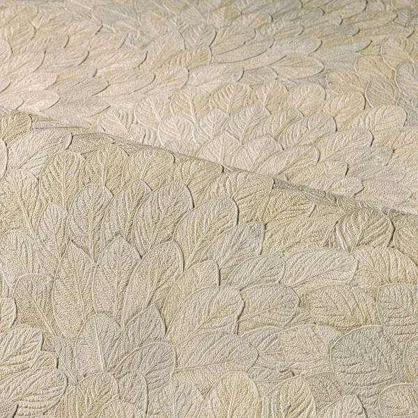 CASAMANCE FEIJOA GREGE