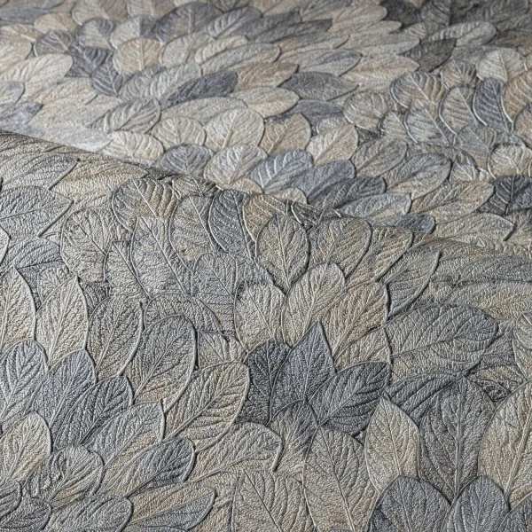 CASAMANCE FEIJOA ORAGE 2