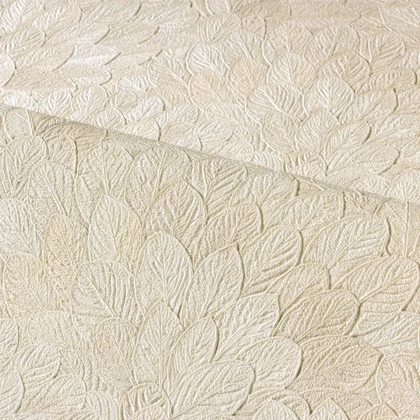 CASAMANCE FEIJOA IVOIRE