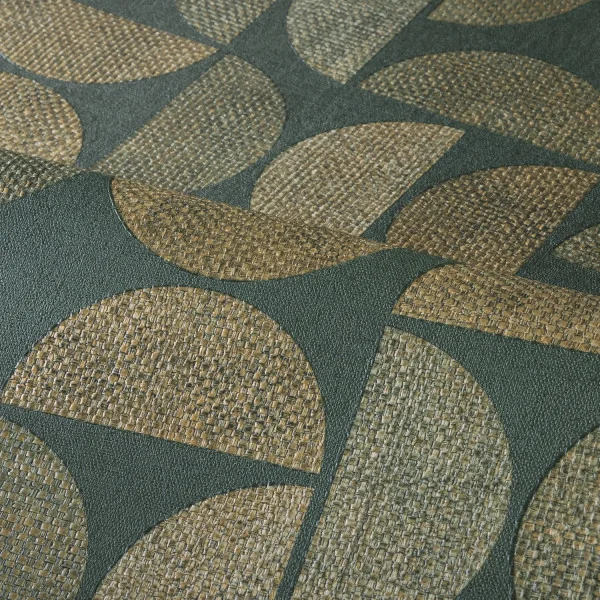 CASAMANCE DUALIS FORET VERT