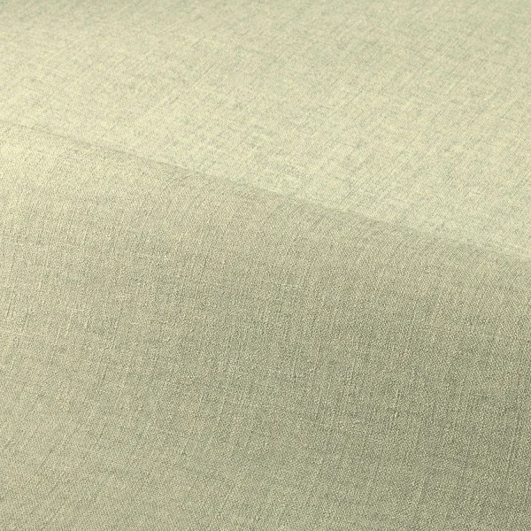 CASAMANCE LINA EUCALYPTUS 2