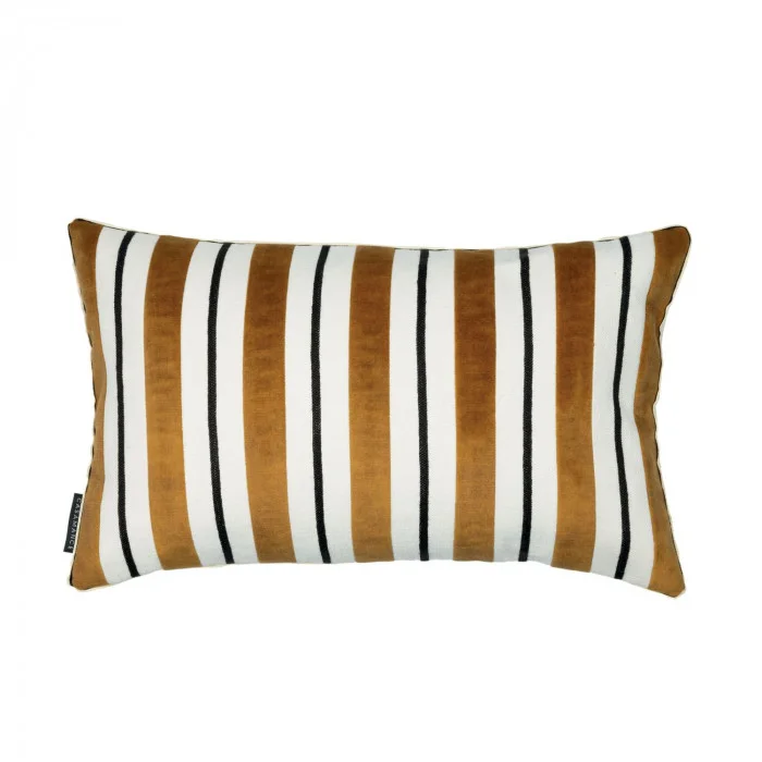 COUSSIN JOSHUA  CAMEL
