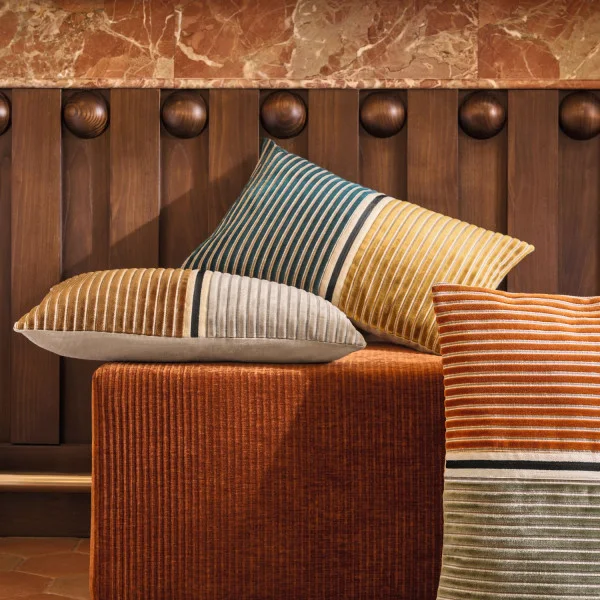 COUSSIN ZEBU 1