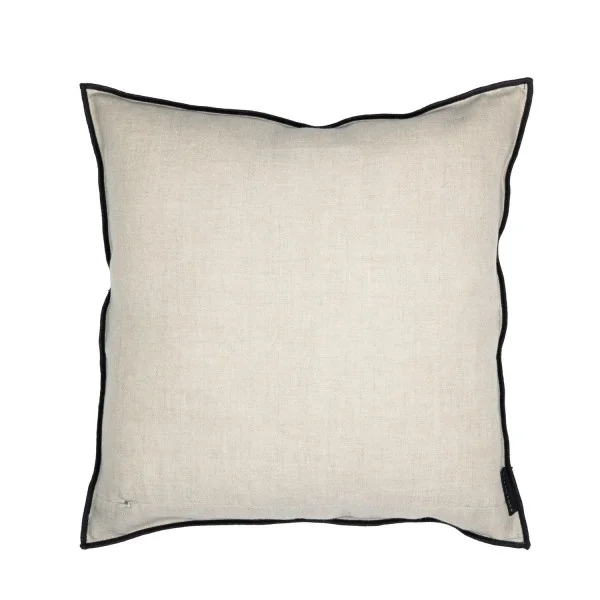 COUSSIN PAE 1