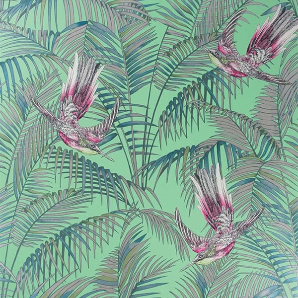 papier-peint-eden-sunbird-matthew-williamson-W6543-03-detail