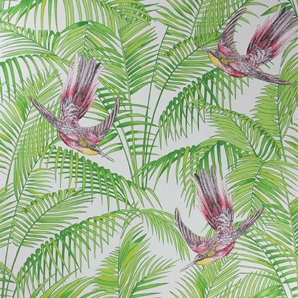 papier-peint-eden-sunbird-matthew-williamson-02-detail