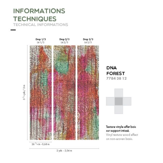casamance-DNA Forest-visuel.2