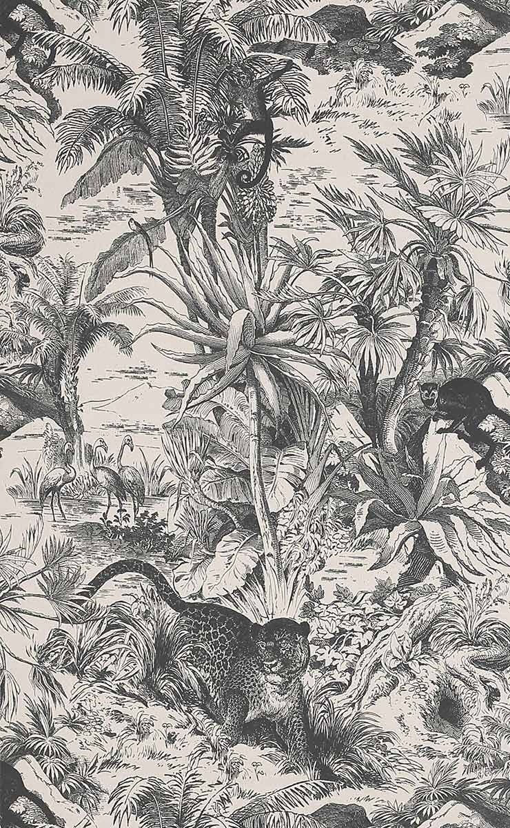 papier-peint-salvator-jungle-singe-manuel-canovas