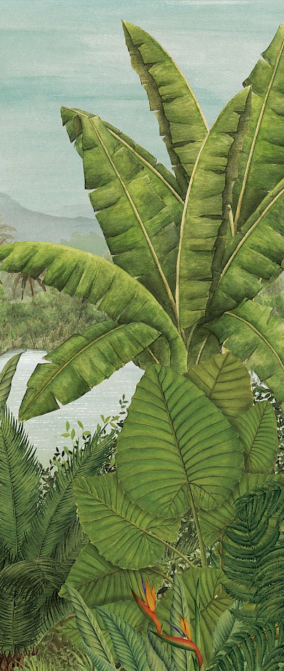 papier-oaint-panoramique-foret-jungle-rainforest-vert-vignette