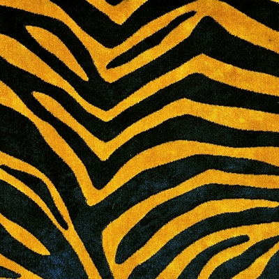 Tissu Zebra