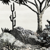 PAN211-nobilis-panoramique-cactus-papier-peint-noir-blanc