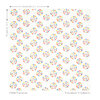 V3586-01-firecracker-firecracker_08