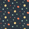 V3583-01-solar-system-solar-system_02
