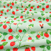 V3597-01-strawberry-patch-strawberry-patch_03