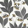 papier-peint-dandelion-lin-masureel-pissenlit