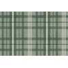 clans-check-mint-coordonne