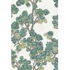 field-maple-mint-coordonne