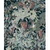 foret-winter-wallpaper-coordonne