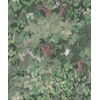 foret-spring-wallpaper-coordonne