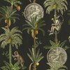 lemurs-eclipse--wallpaper-coordonne