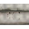 donana-silver-murals-coordonne