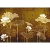 nympha-gold-mural-coordonne