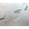 koi-silver-mural-coordonne1