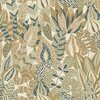 Casamance  Alfabia Amande  (2)