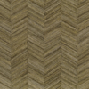 CASAMANCE Ocotea kaki