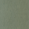 CASAMANCE Jassine cyprès  (3)