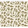 CASAMANCE CANA KAKI (2)